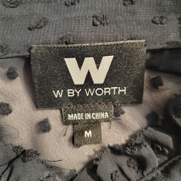 NWT Worth Navy Blue Sheer Swiss Dot Ruffle Blouse - Picture 5 of 6